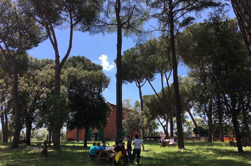Centro estivo al museo archeologico 2019