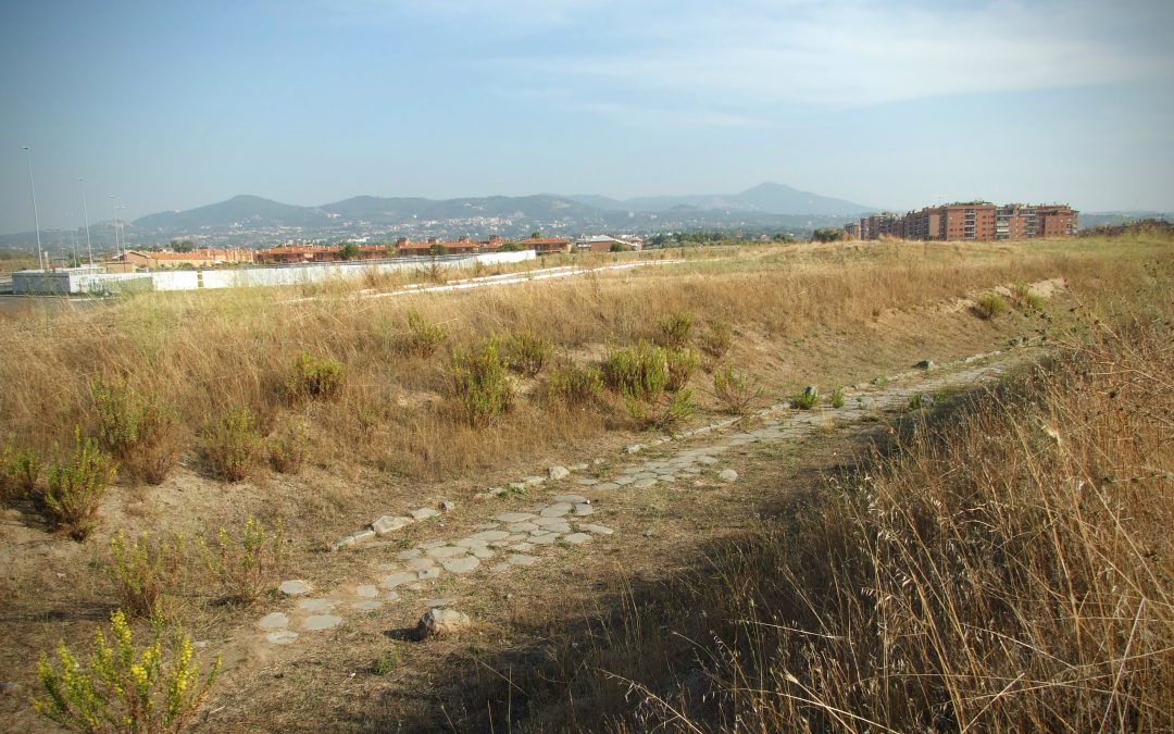 La strada Tuscolo-Fidene